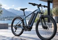  Electric bicycle with lithium-ion battery pack for light mobility applications 
